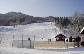 Ski area with piste, skiers and forest in the background.