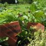 Herb garden, © Familie Teufel