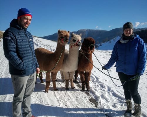 Biobauernhof MItterhirschberg, © Familie Schweighuber