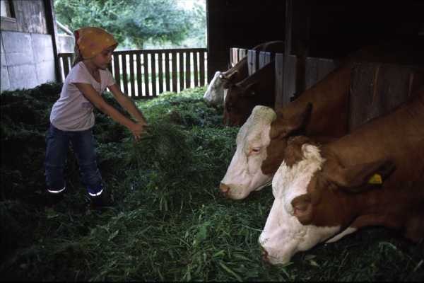 Helping out with the stable work, © zVg