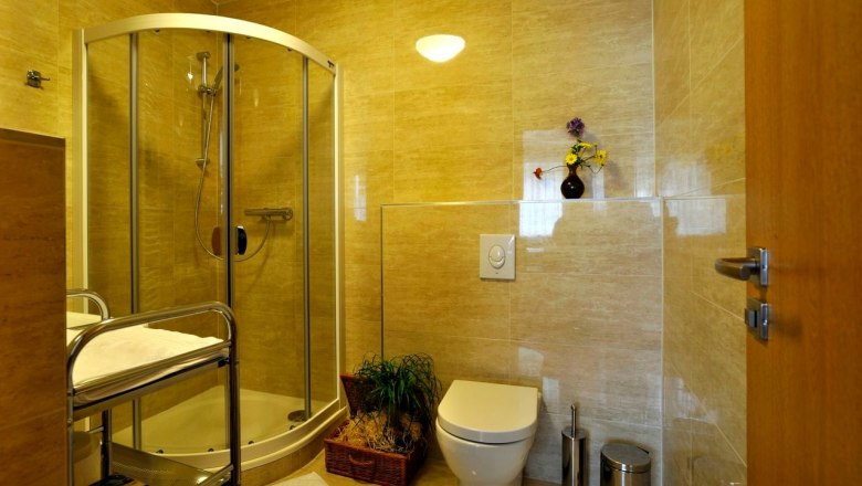 Modernes Badezimmer mit Dusche, WC und Pflanzen.