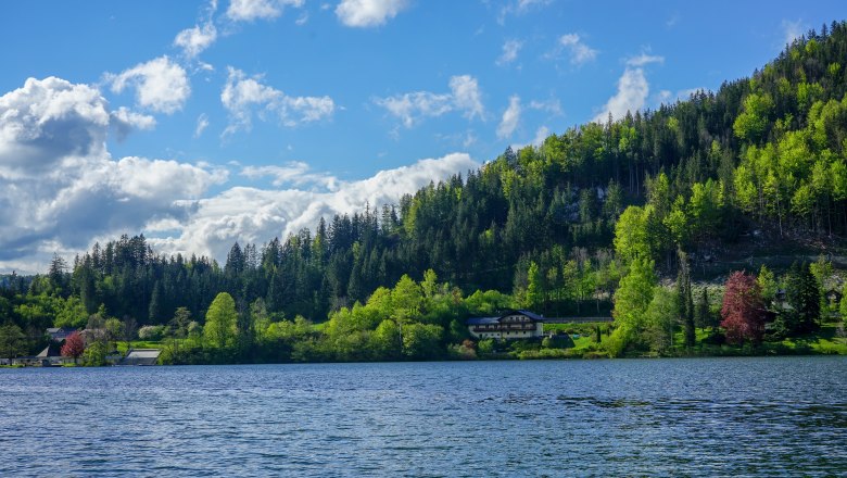 Lunzer See lake, © Felix Helmel