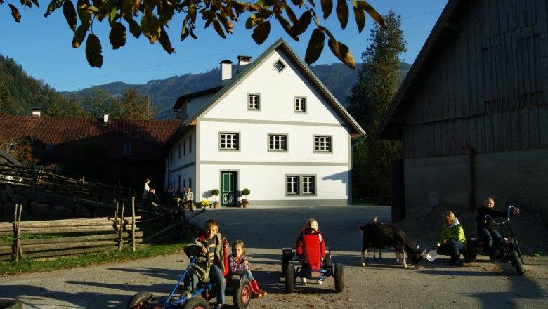 Children playing on a farm with Kettcars and a goat in the foreground.