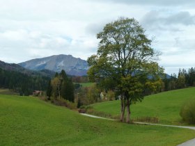 Kleiner Weiher bei Mitterbach, &copy; Mostviertel - O&Ouml; Mariazellerweg