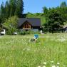 Ferienwohnung G&ouml;stling im Sommer, &copy; Fritz Hayder