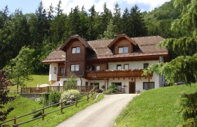 A traditional house with wooden cladding in a green, wooded setting.