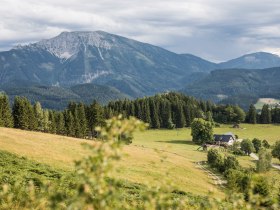 Alpine experience on the Hochb&auml;rneck, &copy; Fred Lindmoser