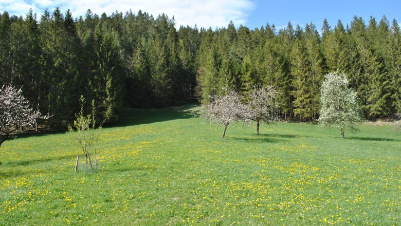 Landscape behind the house, © Patrick Leitner
