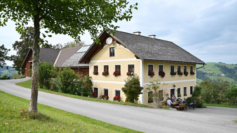 Ein gelbes Bauernhaus mit roten Blumen an den Fenstern, umgeben von gr&uuml;ner Landschaft und einem Baum im Vordergrund.