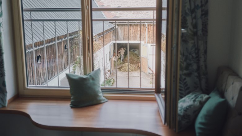 Blick aus einem Fenster auf einen Bauernhof mit einem Mann und einem Pferd im Stall.