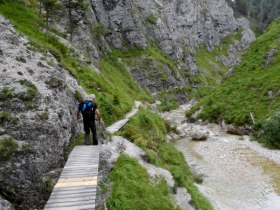 In the &Ouml;tschergr&auml;ben, &copy; Mostviertel - O&Ouml; Mariazellerweg
