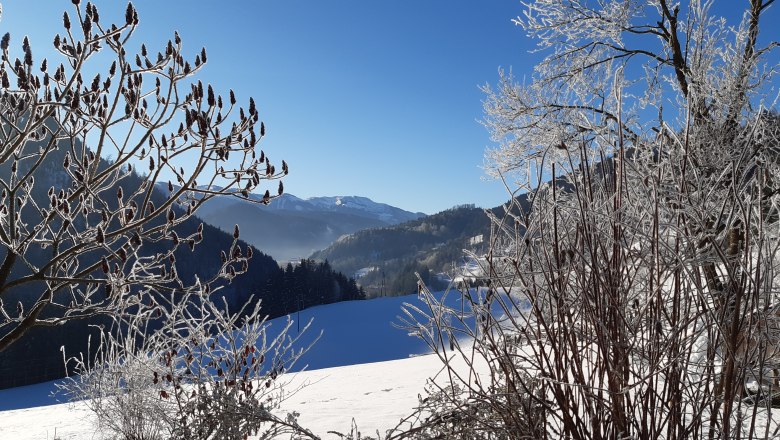 Poidlbauer, &copy; Poidlbauer