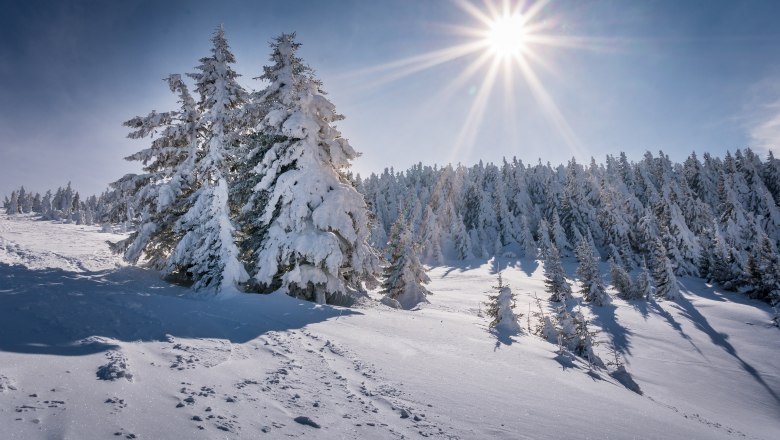 Winterstimmung, © Gerald Demolsky