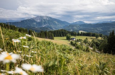 Ötscherblick Hochbärneck, © Fred Lindmoser