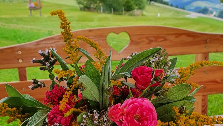 Ausblick von der Hausbank, © Melanie Schweighuber