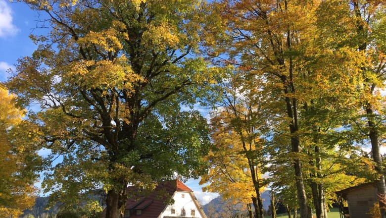 Ferienhaus Hinterbreiteneben, © Johannes Hoyos