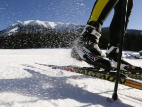 Cross-country skiing on the training meadow, &copy; schwarz-koenig.at