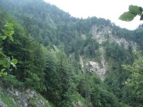 T&ouml;pper Bridge - Stiegengraben - Ybbstalerh&uuml;tte - Lechnergraben - T&ouml;pper Bridge, &copy; Mostviertel