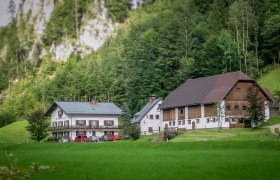 Two traditional farmhouses in a green, wooded landscape.