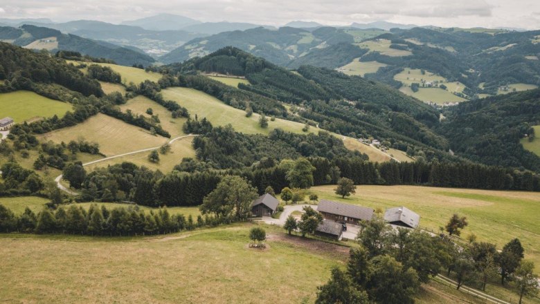 Mostheuriger Almhaus Hochkogel, &copy; Gerald Demolsky