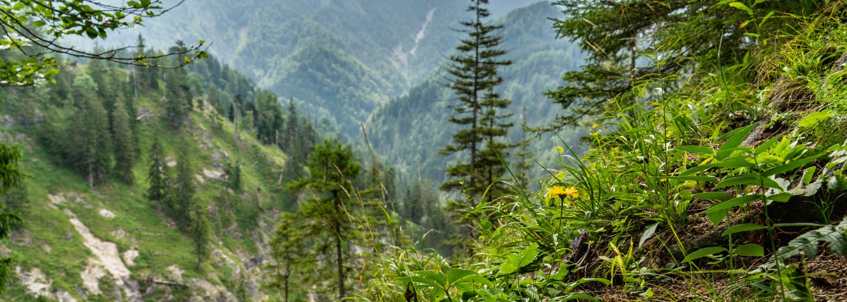 Wildnisgebiet, &copy; Ingeborg Zeh