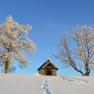 Strahlend blauer Himmel im Winter, © Gottfried & Rosina Wagner