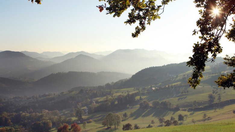 Panoramahöhenweg, © Mostviertel Tourismus, weinfranz.at