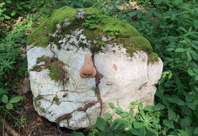 Entdeckt faszinierende Orte im Wald, © zunder zwo