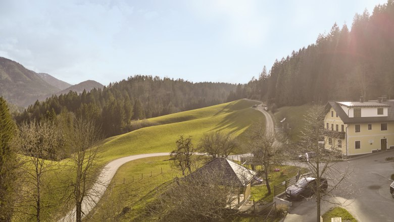 Panorama eines Bauernhofs in einer h&uuml;geligen Landschaft mit Wald und Bergen im Hintergrund.