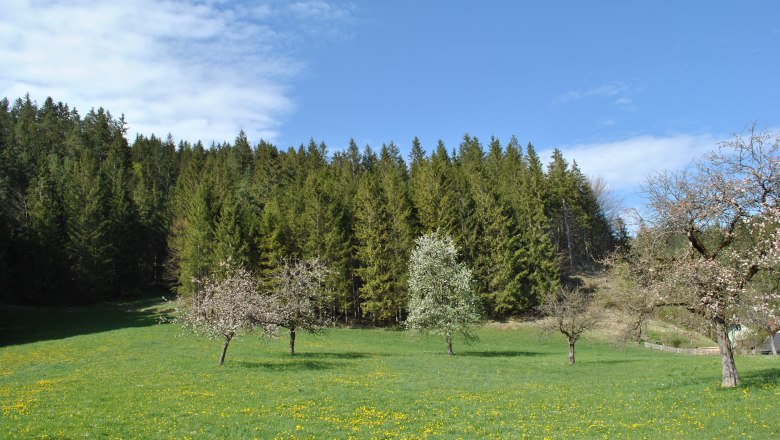 Landscape behind the house, © Patrick Leitner