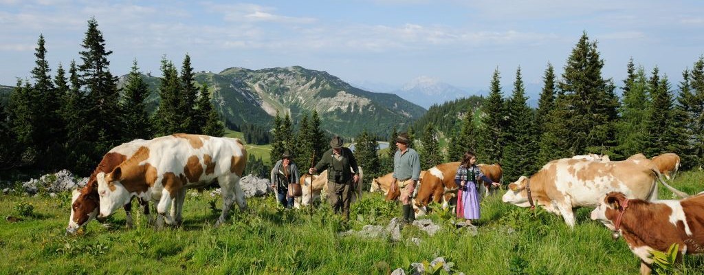 Views on Ybbstal Alps, &copy; Fotostudio B&uuml;chele