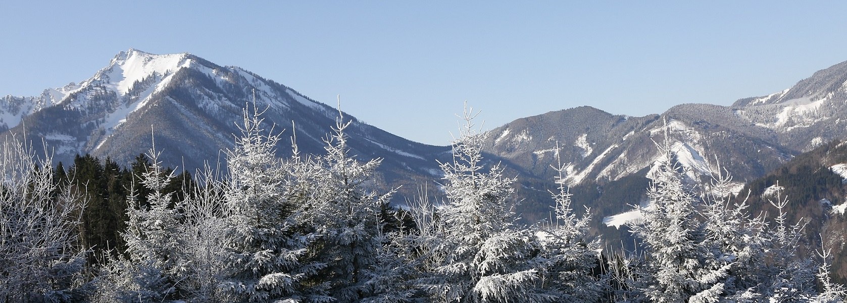 Königsberg, © schwarz-koenig.at