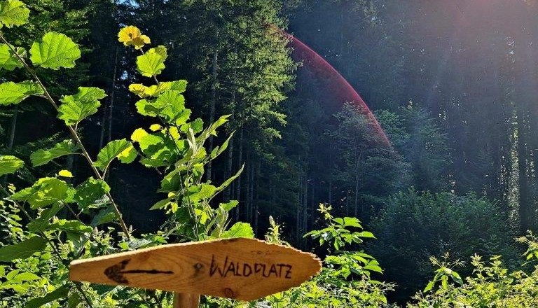 Forest bathing, &copy; Karin Redlsteiner