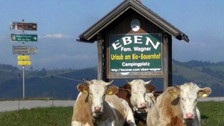 Zufahrtsstrasse, &copy; Gottfried & Rosina Wagner