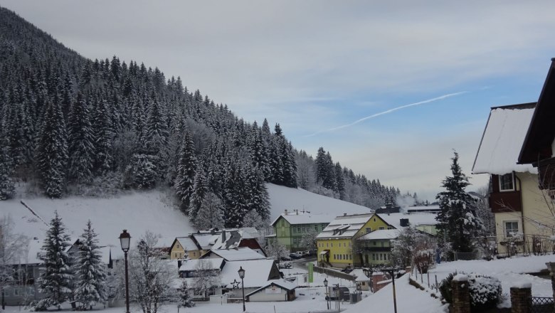 Blick in den Ort vom Wolf&acute;s Revier, &copy; Veronika Haberfellner