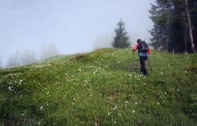 Opponitz Wandern, &copy; Rudi Kefer