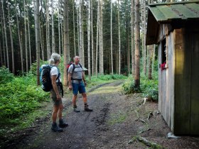A pilgrimage through the forest, &copy; Mostviertel