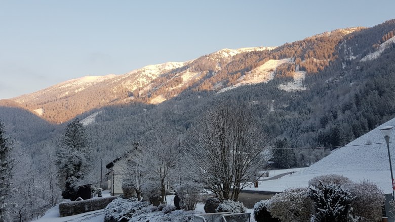 Winter chamois stone, © Gasthof Stiegenwirt