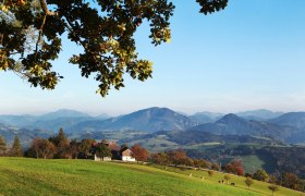 Blick &uuml;ber die weitl&auml;ufige Landschaft am Panoramah&ouml;henweg, &copy; weinfranz.at