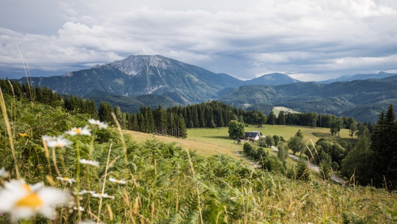 &Ouml;tscherblick Hochb&auml;rneck, &copy; Fred Lindmoser