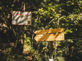 Close-up of a yellow signpost to the Via Aqua pilgrimage route and the Sulzbichl and Hochb&auml;rneck hiking trails, surrounded by forest floor and ferns. In the background, a safety sign for the alpine ascent.