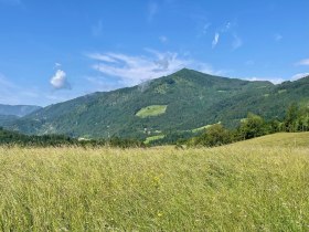 Grabenrundweg Opponitz, &copy; (C) RudiKefer