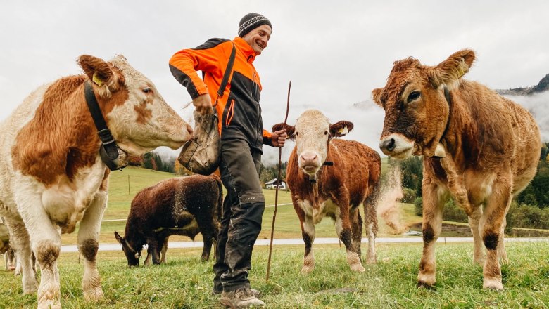 On the mountain pasture, © Heidi Zettel