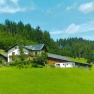 Seppenbauer farm in summer, &copy; Augustine Ertelthalner