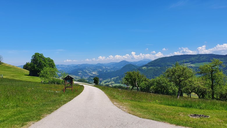 ÖtscherBlick, © Melanie Schweighuber
