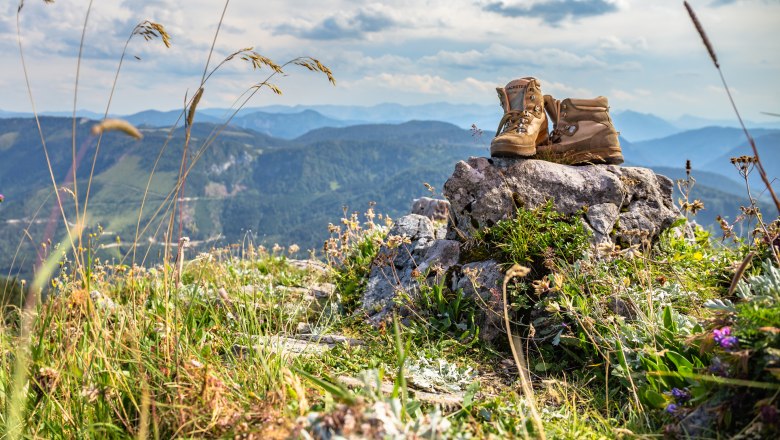 Hiking trail barrier, © weinfranz.at