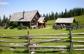 Haute Route 11th stage: G&ouml;stling - Hollenstein, &copy; Mostviertel