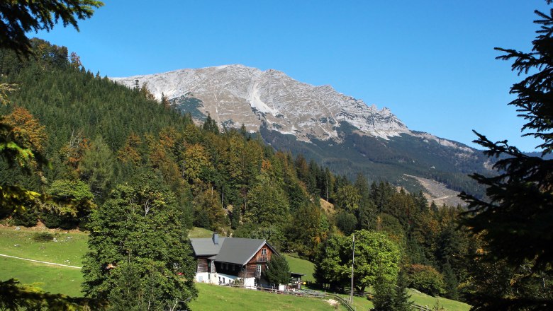 Mountain landscape in the Ötscher Tormäuer Nature Park with forest and huts in the foreground.
