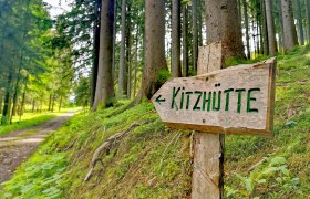 Wandern Hollenstein/Ybbs, © Werner Schrittwieser