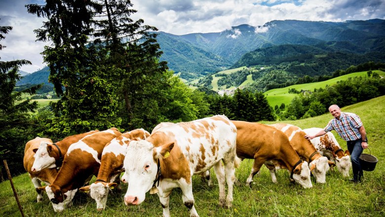 Organic farm Hinterstockreith, &copy; Theo Kust